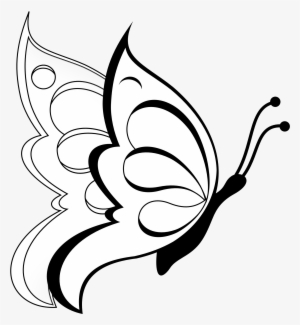 95 Simple Paintings Of Flowers Black And White - Butterfly Drawing #418964