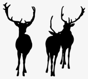 Deer, Herd, Wildlife, Silhouette, Mammal - Deer #418967