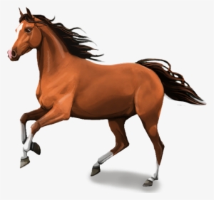 And While Doing This You Learn How To Care For Your - Horse Image In Png #418968