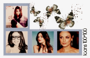 Monarch Butterfly #419067