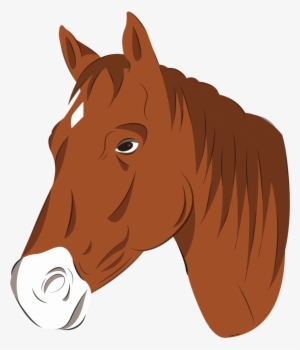 Graphic Transparent Library By Faunafay On Deviantart - Horse Head Vector Png #419072