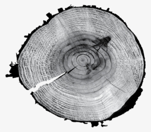 Circle #4100106 Circle #4100106