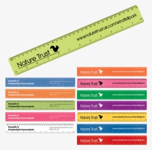 30cm Jack Rulers - Ruler #4100218