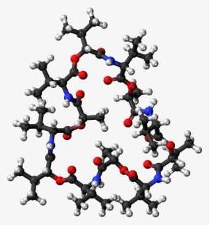 Valinomycin 3d Ball - Valinomycin 3d Structure #4100280