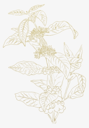 Sketch #4100376