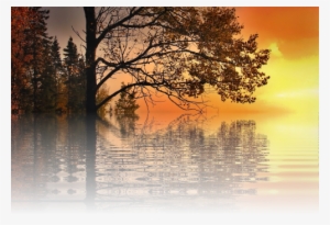 Braunes Holz Des Sees. Herbst-wald Postkarte #4100639