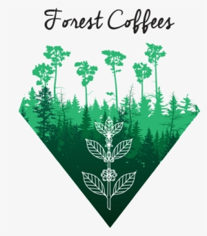 A New Belco's Venture - Café De Foret #4100701