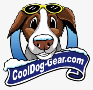 Cooldog-gear - English Foxhound #4101493