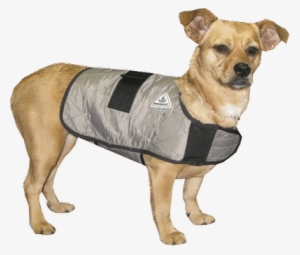 Hyperkewl™ Evaporative Cooling Dog Coat - Techniche 8529xlsilver Xl Hyperkewl Evaporative Cooling #4101627