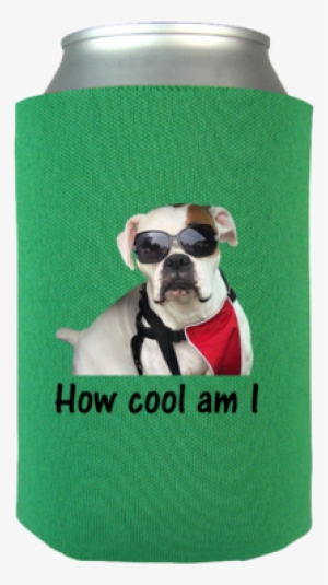 Cool Dog Can Wrap - Sweatshirt #4101704