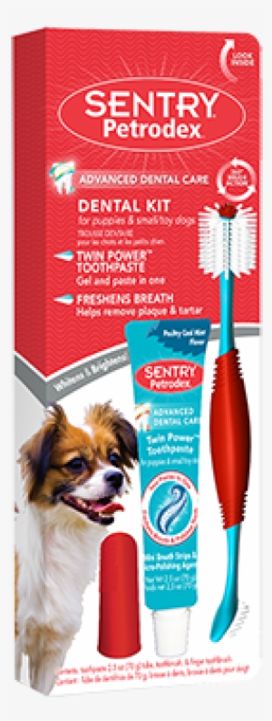 51078 Img P004905 1 Web Med - Petrodex Dental Kit For Dogs - Peanut Butter Flavor: #4102379