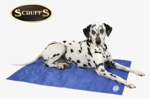 Cooling Mat - Scruffs Cool Mat, Large, Cyan/navy #4102653