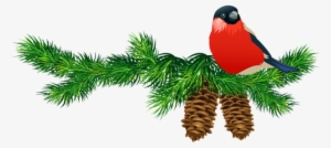 Go To Image - Pine Branches Clip Art #4102712