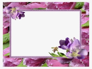 Png Transparent Images Free Download - Flower Photo Frames Hd #4102854 Png Transparent Images Free Download - Flower Photo Frames Hd #4102854