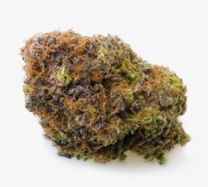 Medreleaf Rex Strain #4102921