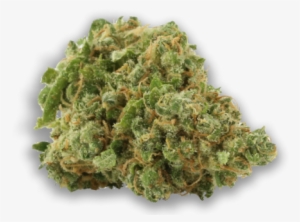 Conspiracy Kush - Cannabis Sativa #4103106
