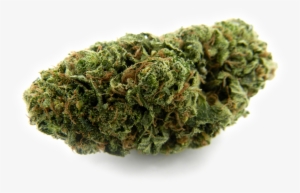 Blueberry Silver Tip - Weed Top Png #4103133