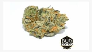 Girl Scout Cookies Strain #4103136