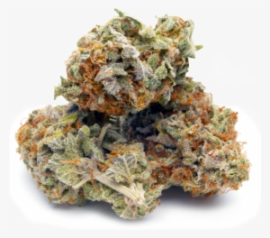 About Us - Bud #4103312