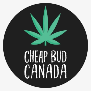 Recreational & Medical Marijuana Dispensaries Near - Stencil Weed #4103569