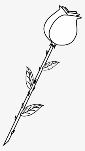 B&w Rose Png #4103867