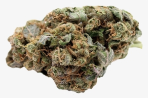 “the Legalization Of Marijuana Is Not A Dangerous Experiment - Executive Kush Lounge #4103926