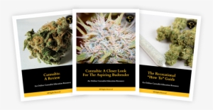 Course Materials - Cannabis Bud #4103983