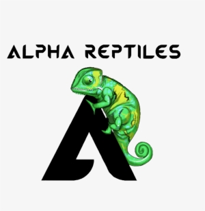 Alpha Reptiles #4104233