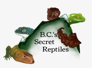 's Secret Reptiles Logotwo - Reptile #4104262