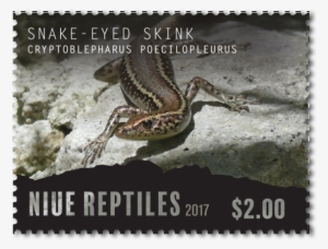 Single Stamp - Postage Stamp #4104346