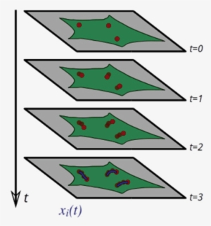 In This Simple Illustration Of Particle Tracking, T=0, - Christmas Tree #4104392