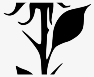 White Rose Clipart Png Format #4104451