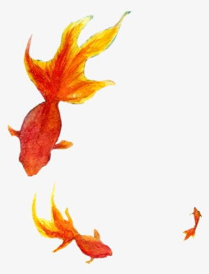 Png Peces - Goldfish #4105271