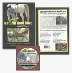 Phil Morarre Explains And Demonstrates How To Use The - Stallion #4105464