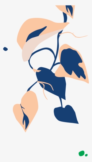 Bloomscape Philodendron Brasil - Philodendron Hederaceum #4105488