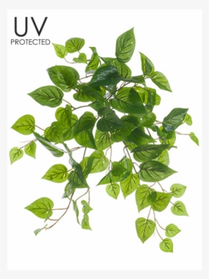 19" Uv Protected Philodendron Bush Green - 19" Uv Protected Philodendron Bush Green (pack #4105516