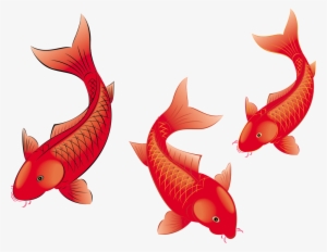 De Alta Definicion De Peces De Estética Png De Pintura - 红 鲤鱼 #4105546