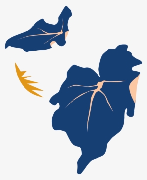 Bloomscape Philodendron Little Hope - Tree Philodendron #4105575