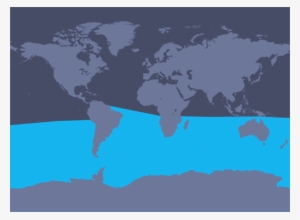 The Above Map Shows The Distribution Of Minke Whales - Antarctic Minke Whale Range #4106176