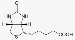 Hoofs Biotin Structure - Chemical Structure Of Vitamin B7 #4106399