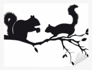Squirrels Vector #4106934