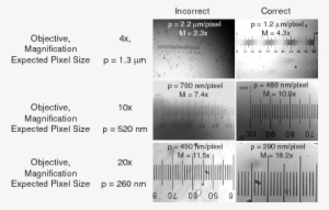 Example Of Correct And Incorrect Imaging Of A 1 Mm - Scale Bar 20x Objective #4107111