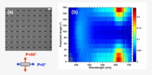 Scale Bar 200 Nm - Jpeg #4107188