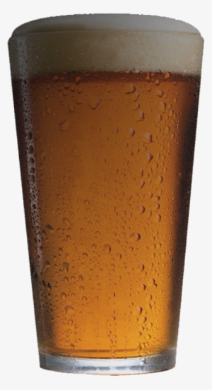Empty Beer Mug Png Download - Pint Glass Of Beer #4107719