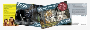 If There Are No Nearby Zoos Or Circuses For You To - Flyer #4107834