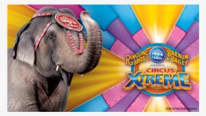 And Barnum & Bailey #4107952