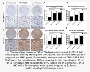 There Are No Effective Medical Treatments For Who Grade - Coin #4108029