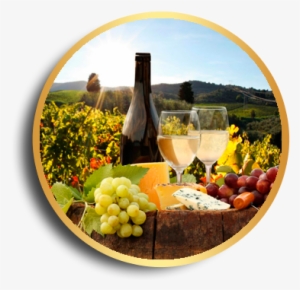 1 Ruta Vino Queso - Ruta Del Vino Y El Queso Queretaro #4108090