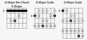 D Bar Chord Shape - Diagram #4108544