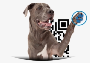 Perro Huella #4109672